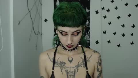 Snapshot of dakota_krall_ chatting on December 7, 2024, 2:42 am dakota online show from December 7, 2024, 2:42 am