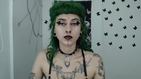 Snapshot of dakota_krall_ chatting on December 11, 2024, 2:52 am dakota online show from December 11, 2024, 2:52 am