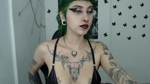 Snapshot of dakota_krall_ chatting on December 15, 2024, 2:52 am dakota online show from December 15, 2024, 2:52 am