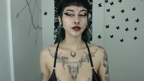 Snapshot of dakota_krall_ chatting on January 8, 2025, 9:10 am dakota online show from January 8, 2025, 9:10 am