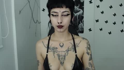 Snapshot of dakota_krall_ chatting on January 25, 2025, 7:17 am dakota online show from January 25, 2025, 7:17 am