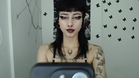 Snapshot of dakota_krall_ chatting on February 8, 2025, 12:28 am dakota online show from February 8, 2025, 12:28 am