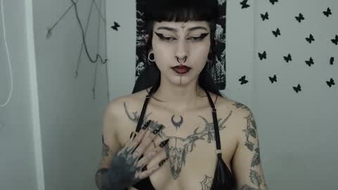 Snapshot of dakota_krall_ chatting on February 14, 2025, 6:23 am dakota online show from February 14, 2025, 6:23 am