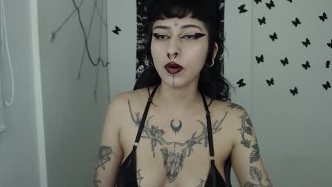 Snapshot of dakota_krall_ chatting on February 16, 2025, 4:42 am dakota online show from February 16, 2025, 4:42 am