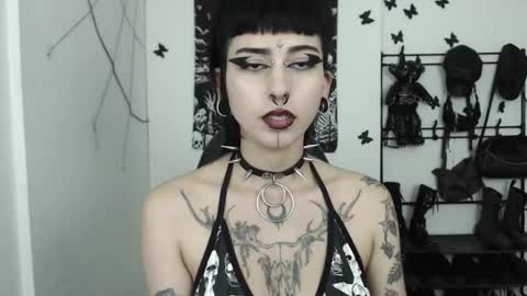 Snapshot of dakota_krall_ chatting on September 15, 2025, 4:34 am dakota online show from September 15, 2025, 4:34 am