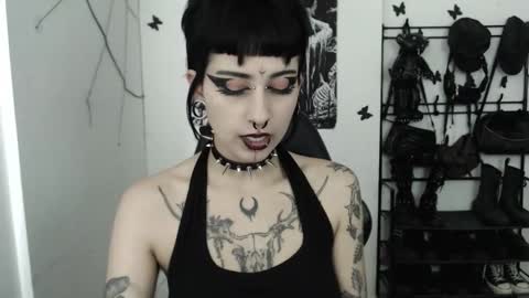 Snapshot of dakota_krall_ chatting on October 16, 2025, 11:55 am dakota online show from October 16, 2025, 11:55 am