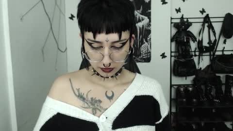 Snapshot of dakota_krall_ chatting on October 29, 2025, 4:04 am dakota online show from October 29, 2025, 4:04 am