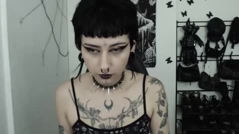 Snapshot of dakota_krall_ chatting on November 22, 2025, 4:33 am dakota online show from November 22, 2025, 4:33 am