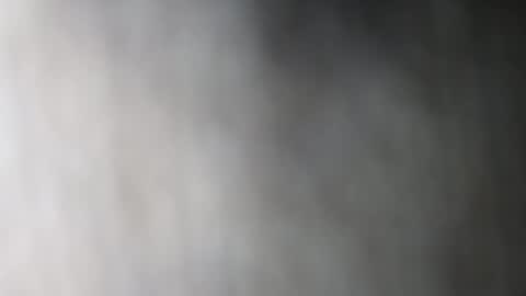 Dalia April online show from January 11, 2026, 7:41 pm