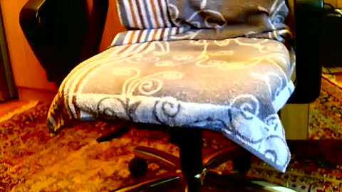 Snapshot of dammerl6 chatting on January 15, 2025, 8:20 am Dammerl online show from January 15, 2025, 8:20 am