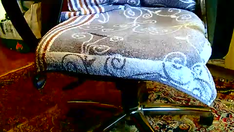 Snapshot of dammerl6 chatting on January 23, 2025, 1:24 pm Dammerl online show from January 23, 2025, 1:24 pm