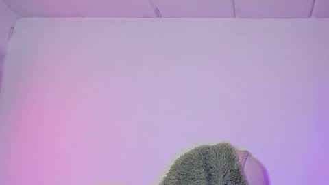 Snapshot of damn_that_booty chatting on February 6, 2025, 4:21 am Criss online show from February 6, 2025, 4:21 am