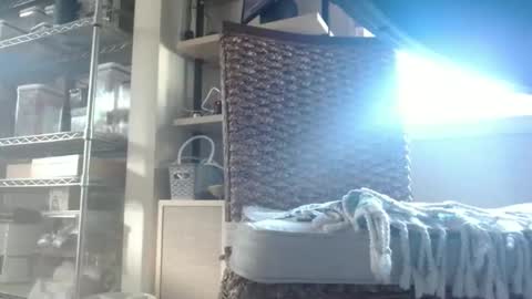 Snapshot of dan_va chatting on February 12, 2026, 4:35 pm Dan online show from February 12, 2026, 4:35 pm