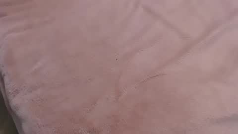 Snapshot of danadjuani chatting on January 11, 2025, 9:57 pm Danna Lovense is activeThere are legends that in this room all your wishes can come true Private is Open online show from January 11, 2025, 9:57 pm