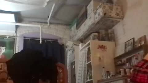 Snapshot of danceissexisbeauty2 chatting on December 4, 2024, 8:12 am Your submissive patient online show from December 4, 2024, 8:12 am