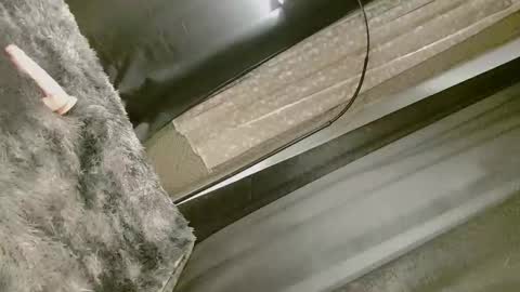 Nica online show from September 10, 2025, 8:25 am