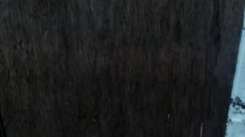 Nica online show from October 2, 2025, 8:54 am