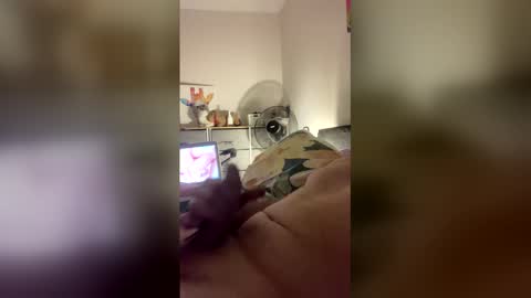 dangros438435 online show from March 31, 2026, 2:50 pm