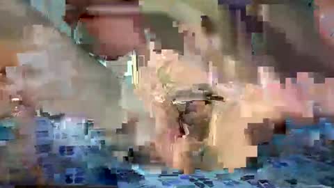 Snapshot of daniel_griffin chatting on May 20, 2026, 6:47 pm daniel_griffin online show from May 20, 2026, 6:47 pm