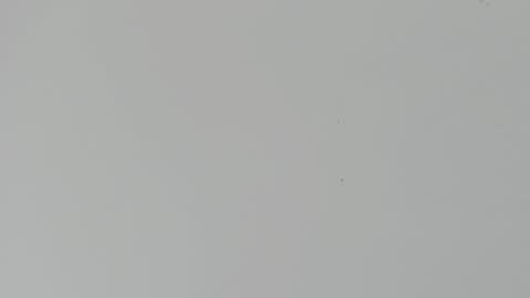 daniel_kingxxx online show from March 2, 2026, 12:34 pm