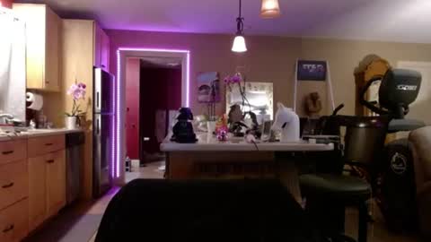 DanikaWhite69 online show from July 9, 2026, 12:31 pm