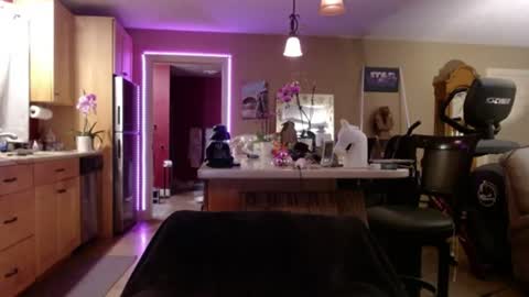 DanikaWhite69 online show from July 17, 2026, 12:01 pm