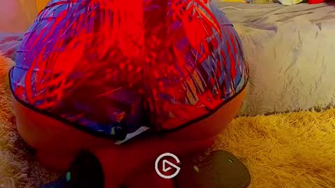 Snapshot of dankshepp chatting on January 26, 2025, 8:45 pm dandeb online show from January 26, 2025, 8:45 pm