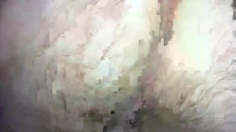 Snapshot of dankz4two0 chatting on December 21, 2024, 1:32 pm dankz4two0 online show from December 21, 2024, 1:32 pm