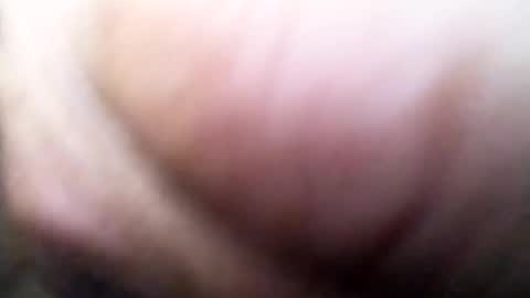 Snapshot of dannowisc chatting on July 5, 2026, 11:06 am dannowisc online show from July 5, 2026, 11:06 am