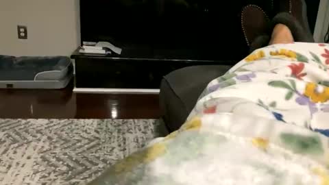 dannyboy621 online show from October 30, 2025, 9:33 am