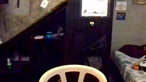 dany_kyng online show from February 15, 2026, 7:51 am