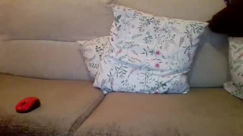 danydotado online show from December 21, 2024, 7:38 pm