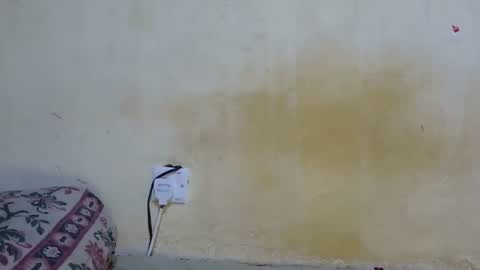 dark_princess1 online show from October 8, 2025, 7:50 am