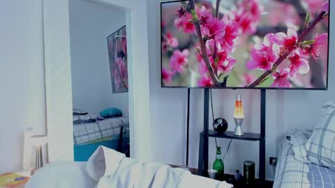 Hey im David that loves to explore and speak their fantasies. Very open talktative and nice. Feel free to chat with me online show from May 2, 2026, 12:43 pm
