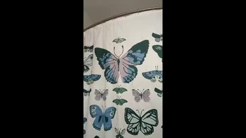 davidb510suckme online show from May 17, 2026, 3:48 am