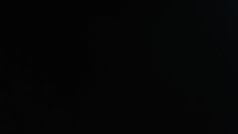 DavidSexxx777 online show from November 24, 2025, 9:14 pm