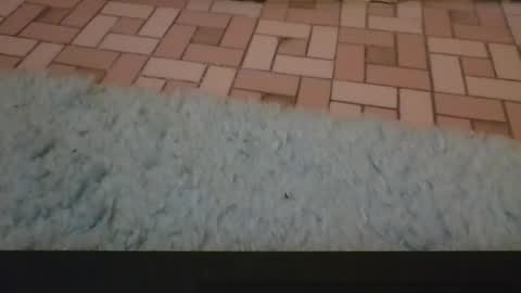 David online show from April 3, 2026, 4:05 pm