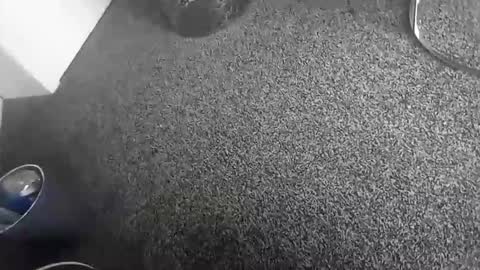 davidf75 online show from November 17, 2025, 10:43 am