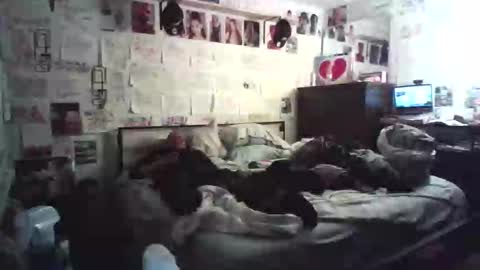 dbeamon92 online show from February 7, 2026, 12:25 am