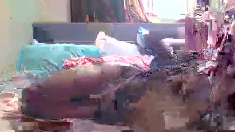 Snapshot of debbyslatter chatting on February 21, 2025, 9:13 am debbyslatter online show from February 21, 2025, 9:13 am