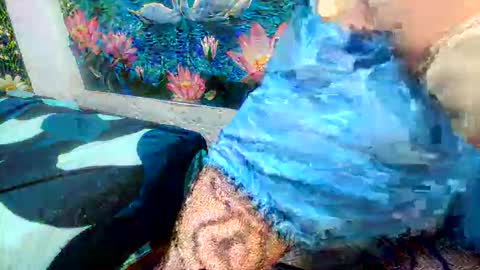 debrastephens online show from May 29, 2026, 11:19 am
