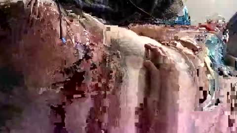 Snapshot of decoyx5o5 chatting on January 9, 2025, 1:18 am decoyx5o5 online show from January 9, 2025, 1:18 am