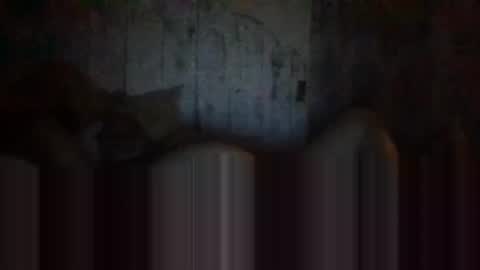 Snapshot of deepdiveme chatting on April 15, 2026, 4:08 am deepdiveme online show from April 15, 2026, 4:08 am