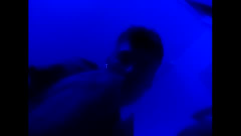 deezzee_5280 online show from February 26, 2026, 9:08 am