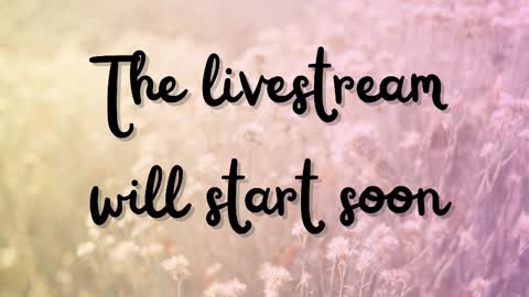 Snapshot of delitevip chatting on March 12, 2025, 10:26 am DeLite Next stream on Wednesday or Thurdsay online show from March 12, 2025, 10:26 am
