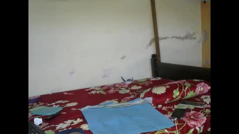 Snapshot of delliciouscandy39 chatting on March 3, 2025, 3:52 am Ginger online show from March 3, 2025, 3:52 am