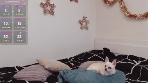 Demi. not your babybabebb and other shit online show from December 25, 2024, 10:50 am