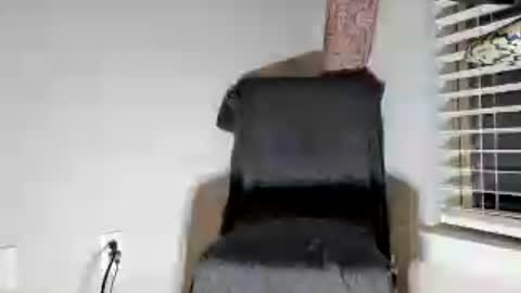 Snapshot of dextercollins chatting on June 27, 2026, 9:03 am Dextercollins online show from June 27, 2026, 9:03 am