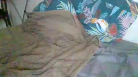 dexterwatchme online show from January 15, 2026, 11:15 am