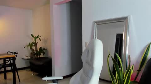 Snapshot of diagostone chatting on January 26, 2025, 12:05 am Diego online show from January 26, 2025, 12:05 am